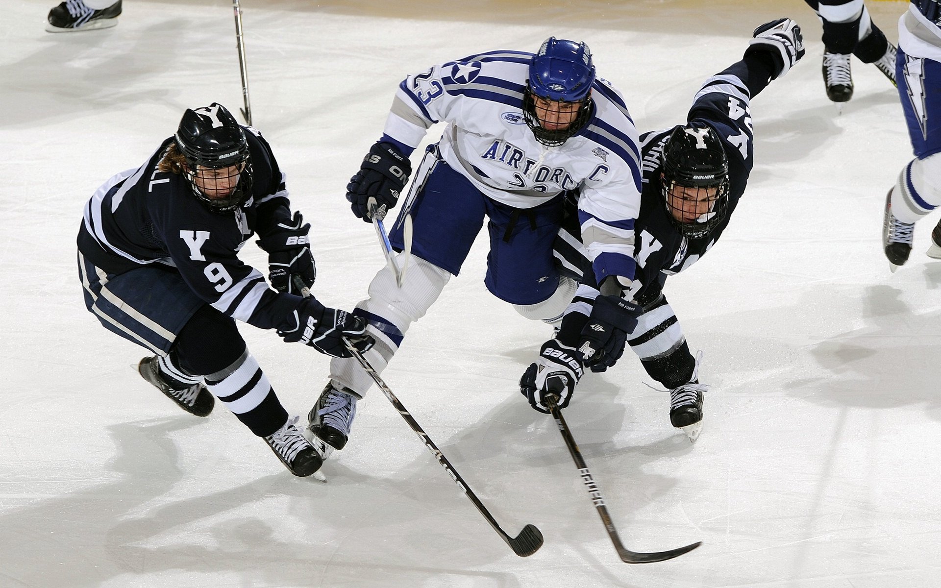 阿尔及利亚男篮在非洲锦标赛中实现突破,夺取佳绩