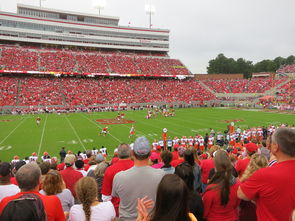 mk体育登录-国家队举办青少年运动技能进阶训练营 提升国际竞争力，青少年运动技能考级平台